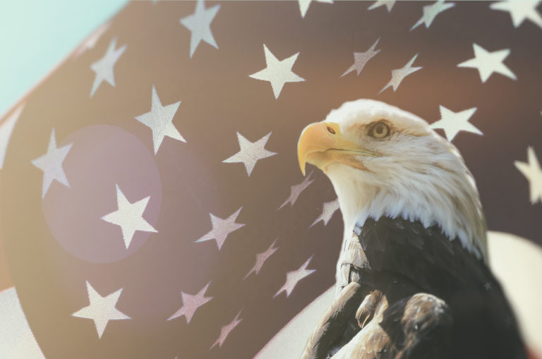 VETERANS DAY: HONORING ALL WHO SERVED